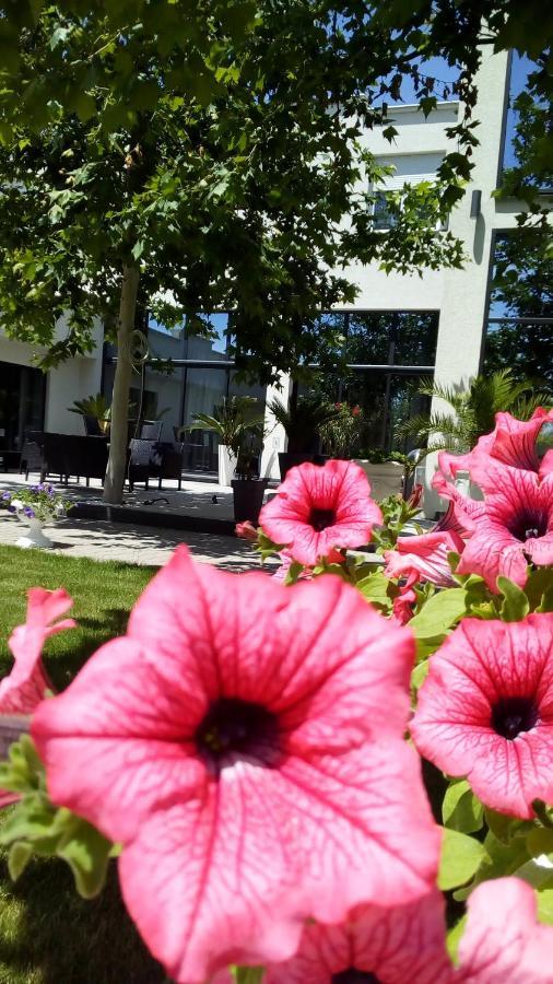 Mesecev Konak Bed and Breakfast Ni Buitenkant foto